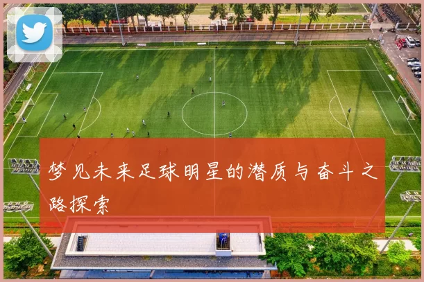梦见未来足球明星的潜质与奋斗之路探索
