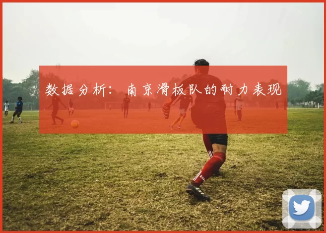 数据分析：南京滑板队的耐力表现