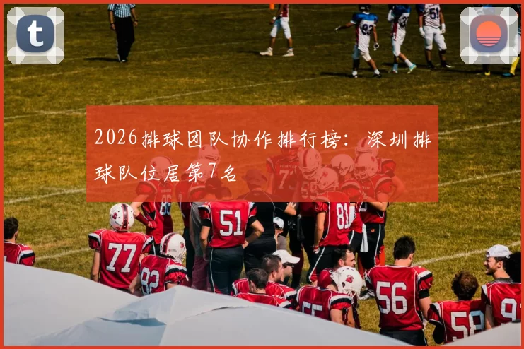 2026排球团队协作排行榜：深圳排球队位居第7名