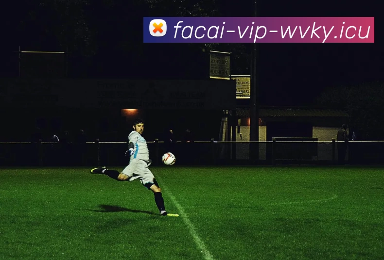 乐竞体育品牌故事