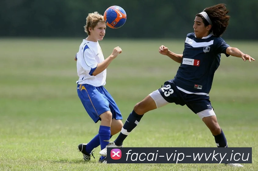 乐竞体育服务体系